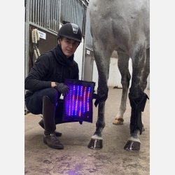 1 Equine LTS Supreme &amp; 2 elastic belts w/velcro 