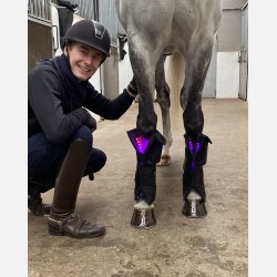 A pair of Equine LTS Supreme &amp; 2 elastic belts w/velcro