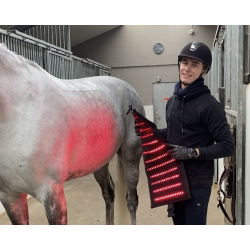 2 st�ck Equine LTS 3.0 (inkl. 2 elastische B�nder) &amp; Mini Pro