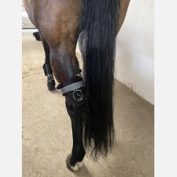 LTS Versatile 2.0 &amp; Elastic band