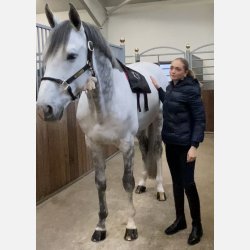 Equine LTS NEW RED Edition  Buy One, Get One FREE (incl 2 pieces of elastic belts)