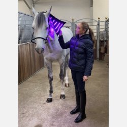  Equine LTS 3.0  Buy One, Get One for FREE (incl 2 pieces of elastic belts)